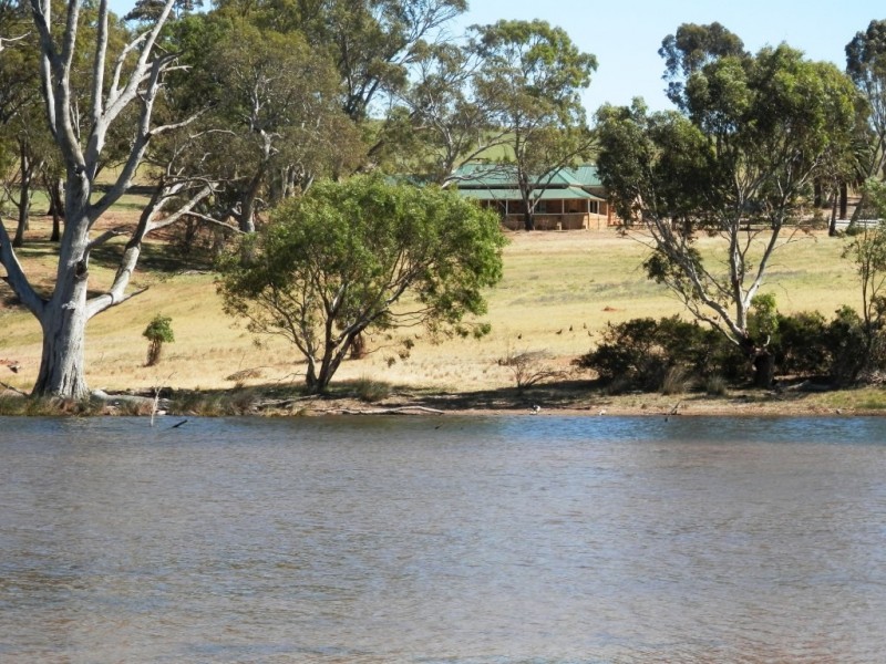 * 342.74ha Holm Hill 847acs, Manoora SA 5414
