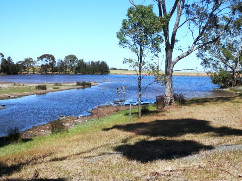 * 342.74ha Holm Hill 847acs, Manoora SA 5414