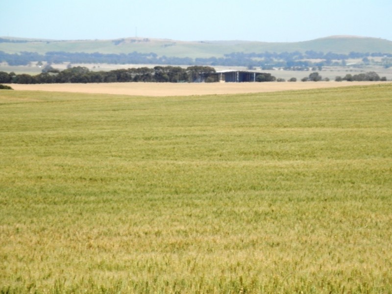 * 342.74ha Holm Hill 847acs, Manoora SA 5414