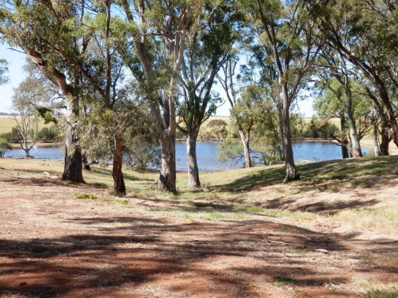 * 342.74ha Holm Hill 847acs, Manoora SA 5414