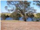 * 342.74ha Holm Hill 847acs, Manoora SA 5414