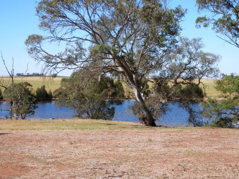 * 342.74ha Holm Hill 847acs, Manoora SA 5414