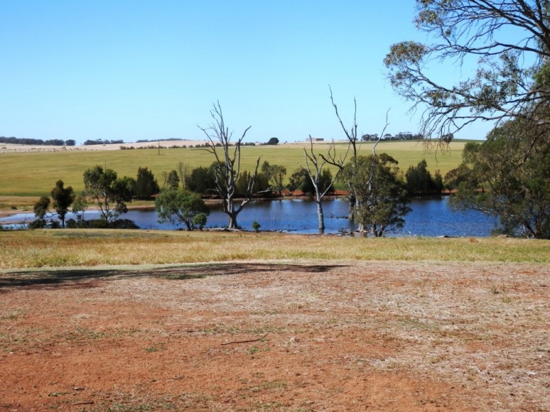 * 342.74ha Holm Hill 847acs, Manoora SA 5414