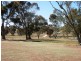 * 342.74ha Holm Hill 847acs, Manoora SA 5414