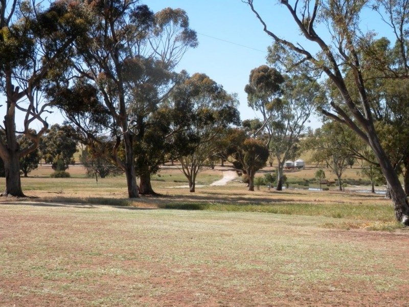* 342.74ha Holm Hill 847acs, Manoora SA 5414