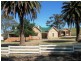 * 342.74ha Holm Hill 847acs, Manoora SA 5414