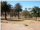 * 342.74ha Holm Hill 847acs, Manoora SA 5414