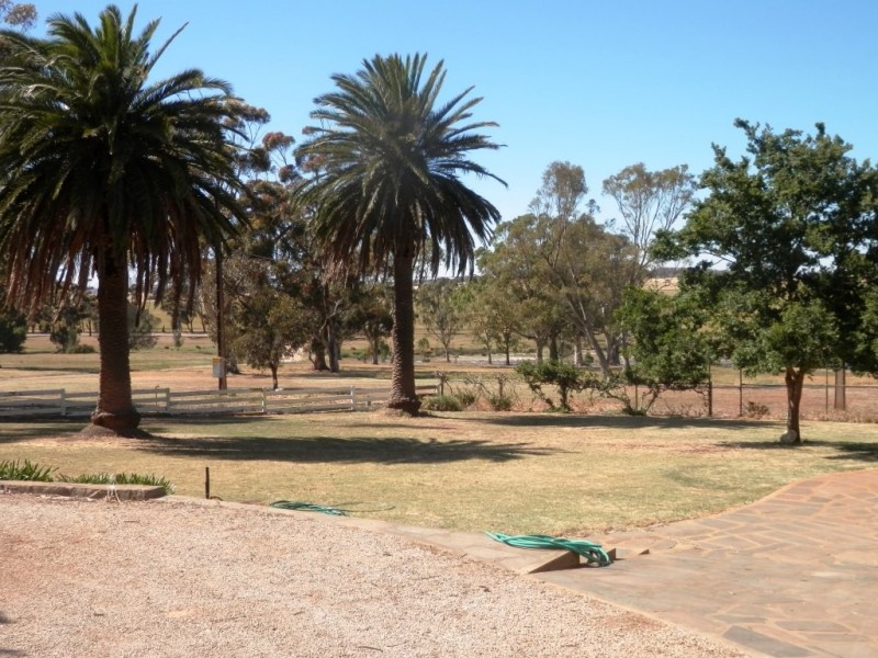 * 342.74ha Holm Hill 847acs, Manoora SA 5414