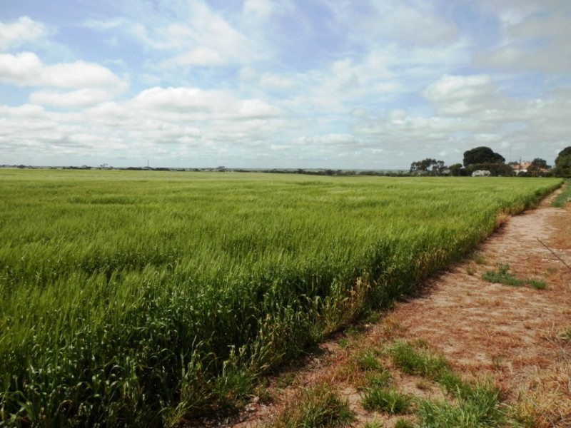 * 332.09ha Jones  Rockwood 820.76acs, Moonta SA 5558