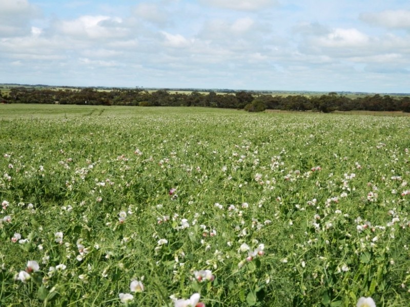 * 332.09ha Jones  Rockwood 820.76acs, Moonta SA 5558