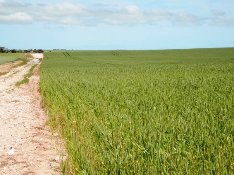 * 332.09ha Jones  Rockwood 820.76acs, Moonta SA 5558