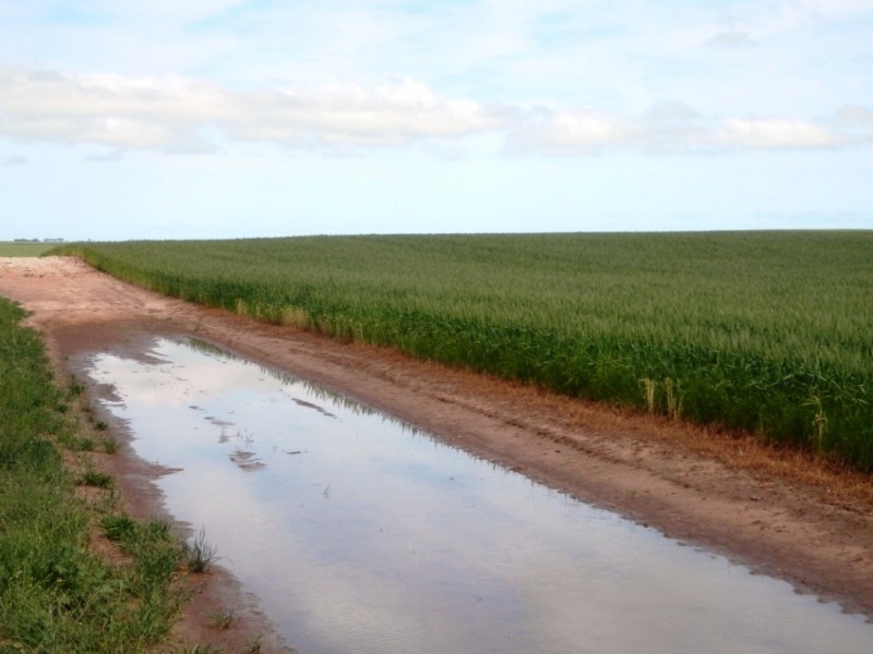 * 332.09ha Jones  Rockwood 820.76acs, Moonta SA 5558