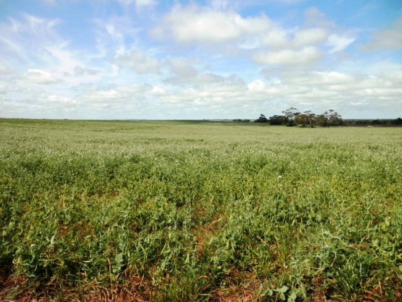 * 332.09ha Jones  Rockwood 820.76acs, Moonta SA 5558