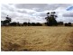 Lot 301 Globe Street, Auburn SA 5451