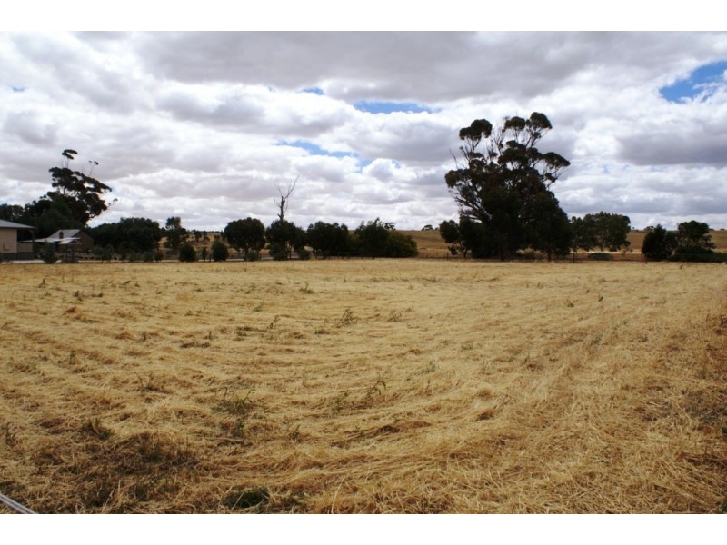 Lot 301 Globe Street, Auburn SA 5451