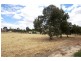 Lot 301 Globe Street, Auburn SA 5451
