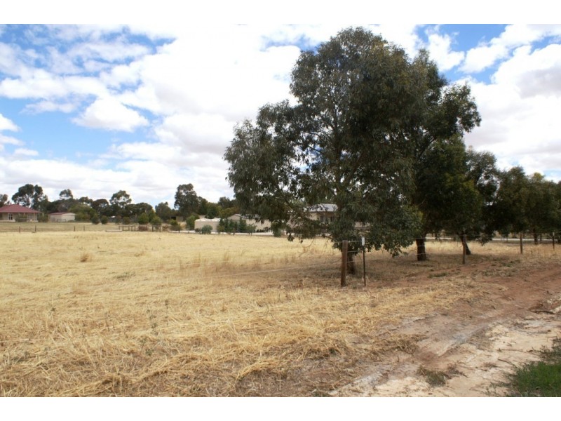 Lot 301 Globe Street, Auburn SA 5451