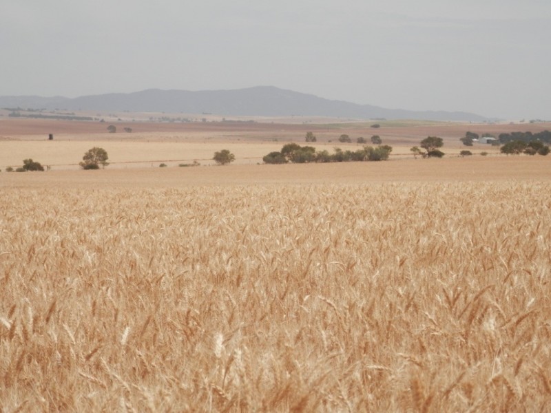 * 396.08ha BYRNES 978acs, Appila SA 5480