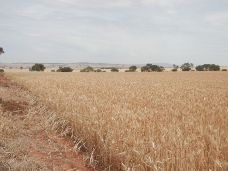 * 396.08ha BYRNES 978acs, Appila SA 5480