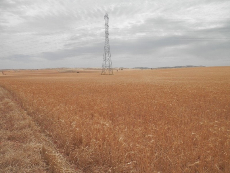 * 396.08ha BYRNES 978acs, Appila SA 5480