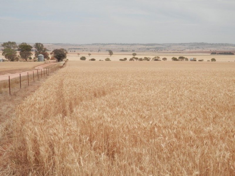 * 396.08ha BYRNES 978acs, Appila SA 5480