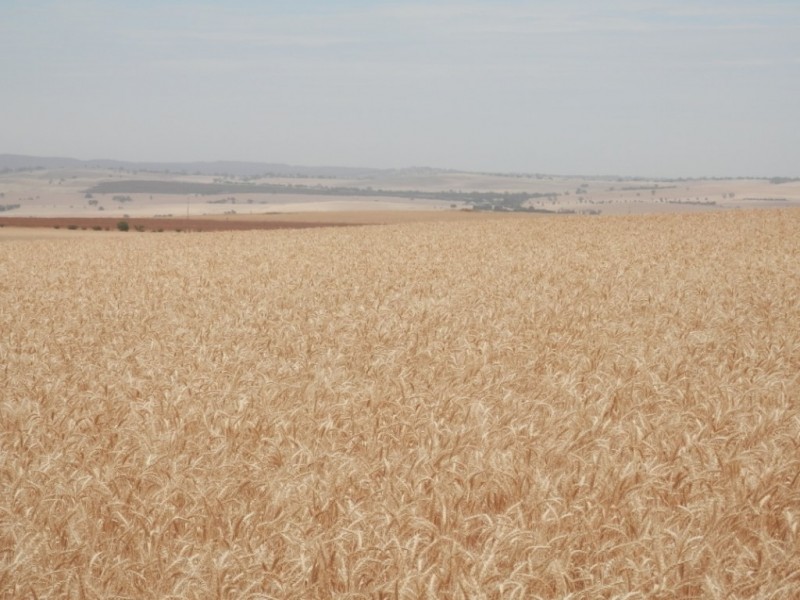 * 396.08ha BYRNES 978acs, Appila SA 5480