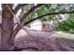 20 Main North Road, Sevenhill SA 5453