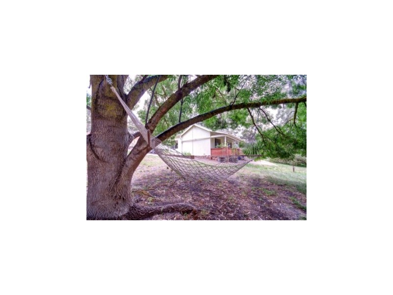 20 Main North Road, Sevenhill SA 5453