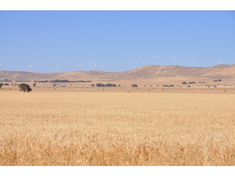 * 653ha “Pollville” 1614acs approx., Mount Bryan SA 5418