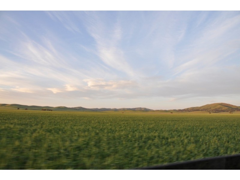 * 653ha “Pollville” 1614acs approx., Mount Bryan SA 5418