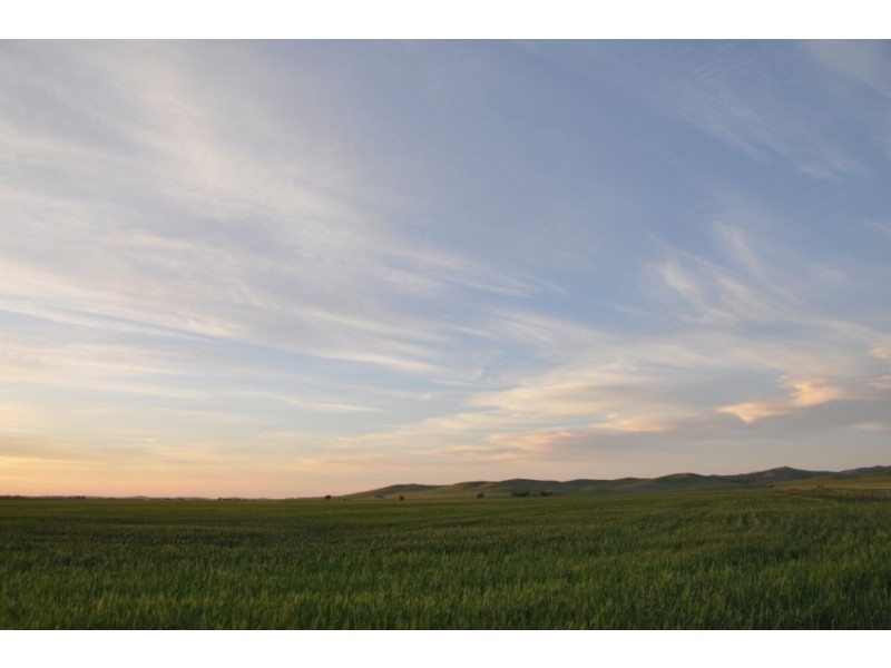 * 653ha “Pollville” 1614acs approx., Mount Bryan SA 5418