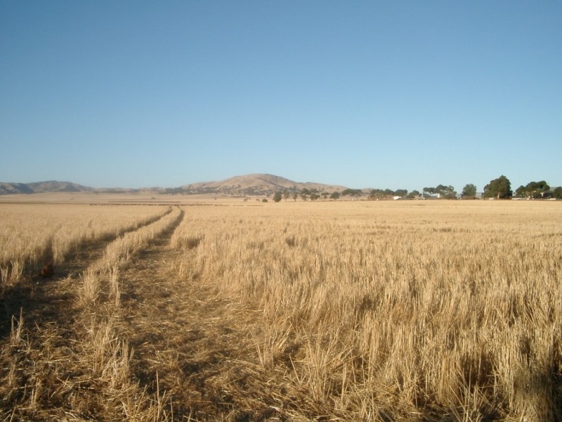 * 653ha “Pollville” 1614acs approx., Mount Bryan SA 5418