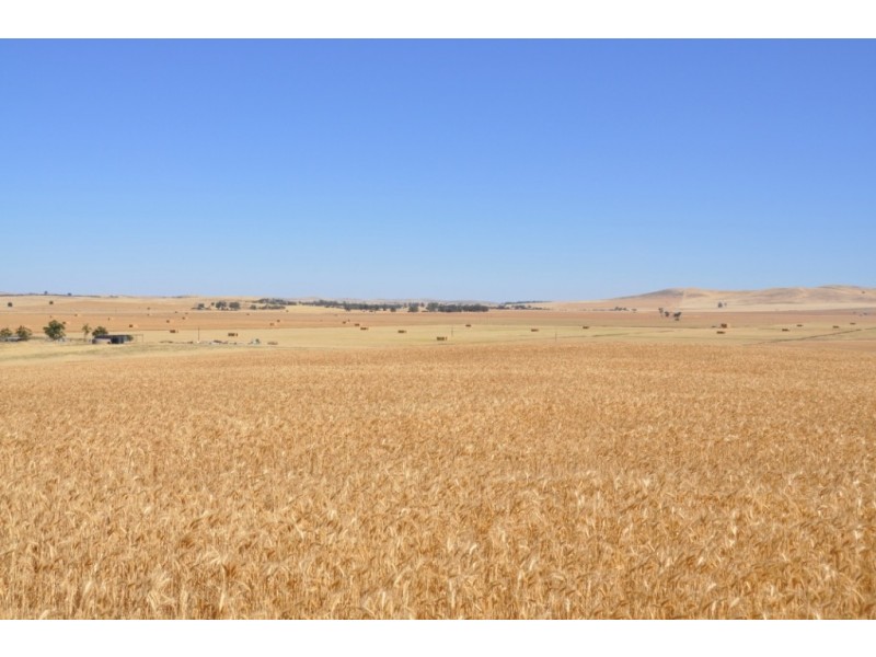 * 653ha “Pollville” 1614acs approx., Mount Bryan SA 5418