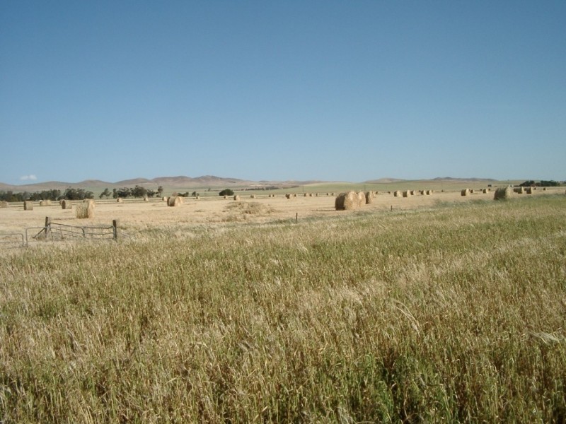 * 653ha “Pollville” 1614acs approx., Mount Bryan SA 5418