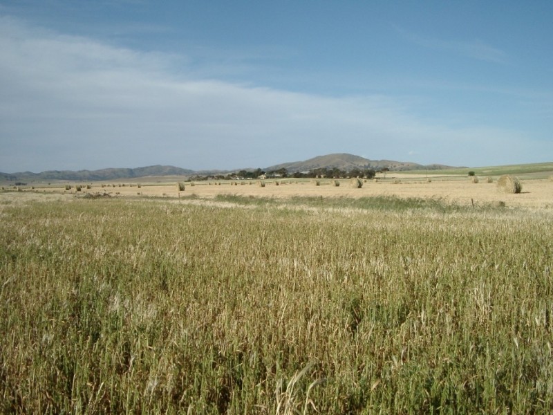 * 653ha “Pollville” 1614acs approx., Mount Bryan SA 5418