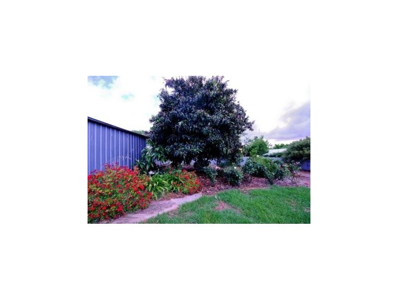 15 Kelly Street, Clare SA 5453