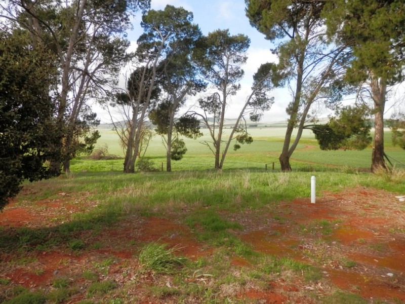 Cherry Ripe Belcunda Rd, Burra SA 5417