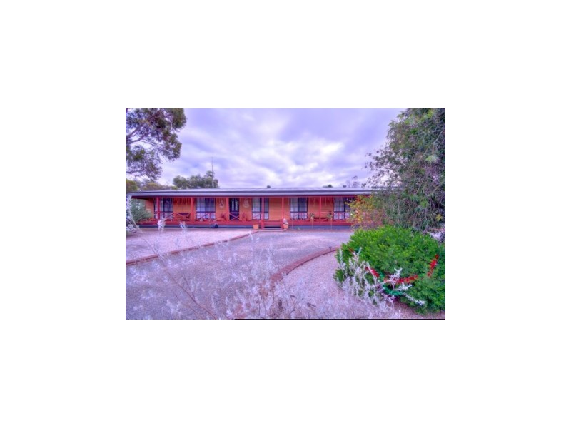 17 Moore Street, Blyth SA 5462