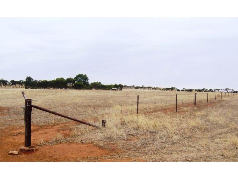 * 77.3ha “Bottrall’s” 191acs, Caltowie SA 5490