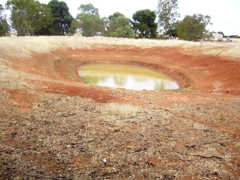 * 77.3ha “Bottrall’s” 191acs, Caltowie SA 5490