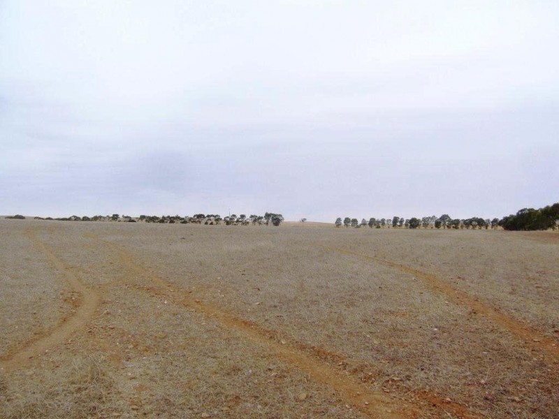 * 77.3ha “Bottrall’s” 191acs, Caltowie SA 5490