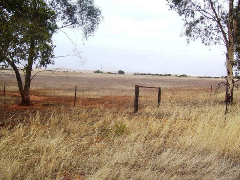 * 77.3ha “Bottrall’s” 191acs, Caltowie SA 5490