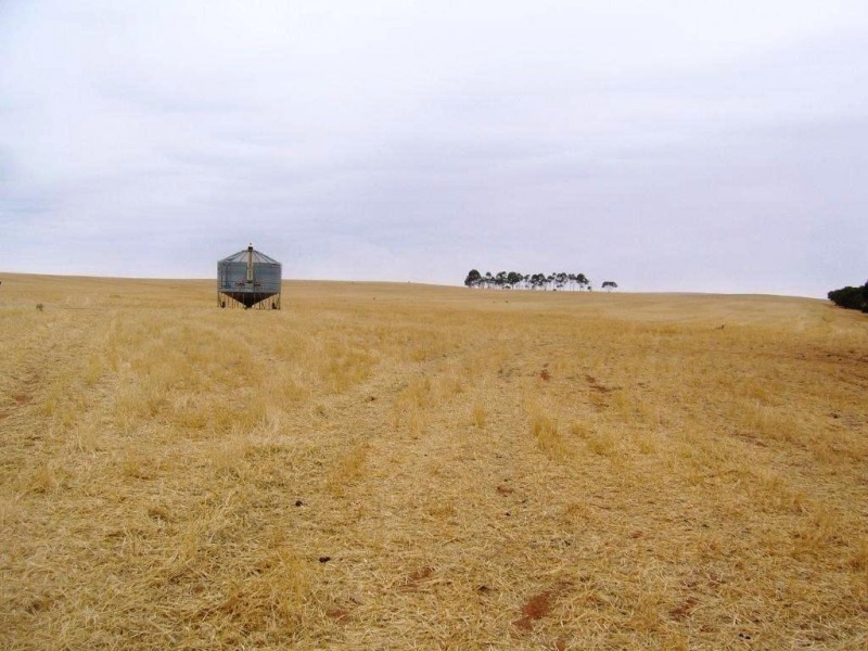 * 77.3ha “Bottrall’s” 191acs, Caltowie SA 5490