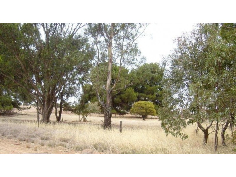 * 77.3ha “Bottrall’s” 191acs, Caltowie SA 5490