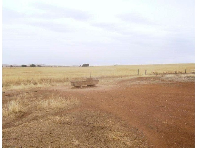 * 77.3ha “Bottrall’s” 191acs, Caltowie SA 5490