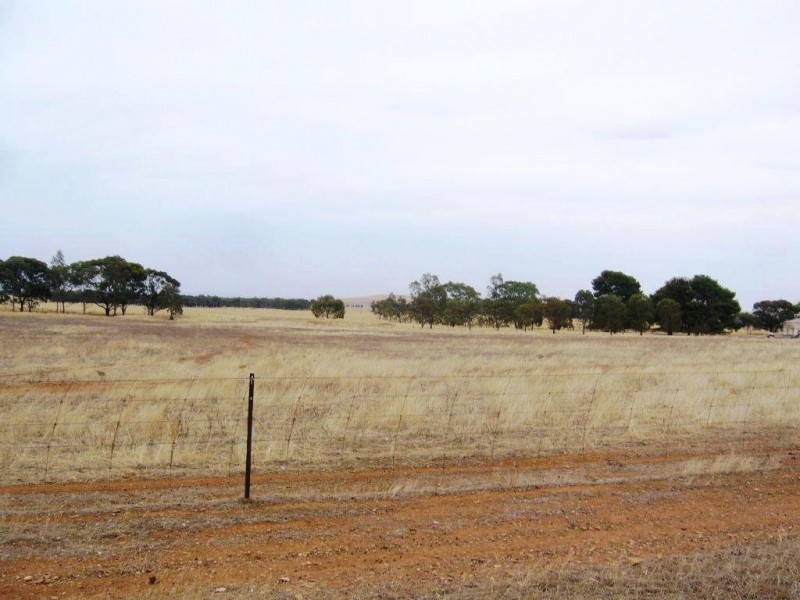 * 77.3ha “Bottrall’s” 191acs, Caltowie SA 5490