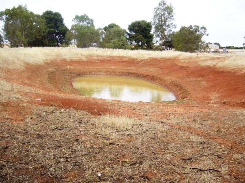 * 77.3ha “Bottrall’s” 191acs, Caltowie SA 5490