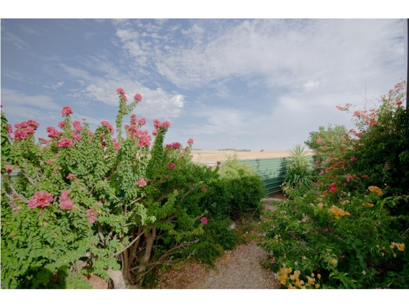 Lot 20 Terminus Street, Hoyleton SA 5453