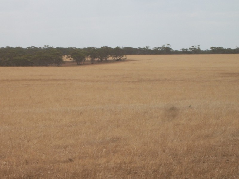 - Angle Road, Brownlow Via, Eudunda SA 5374