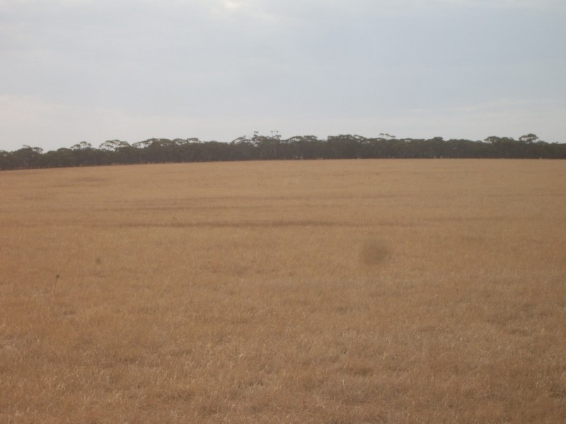 - Angle Road, Brownlow Via, Eudunda SA 5374